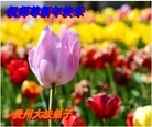 Published on 1/24/2012 ֹ,½󷨵ӹףʦã192 - ִ
