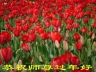 Published on 1/24/2012 ֹ,½󷨵ӹףʦã197 - ִ
