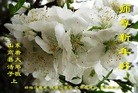 Published on 1/24/2012 ֹ,½󷨵ӹףʦã179 - ִ
