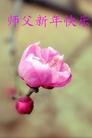 Published on 1/24/2012 ֹ,½󷨵ӹףʦã179 - ִ
