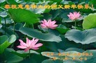 Published on 1/24/2012 ֹ,½󷨵ӹףʦã179 - ִ
