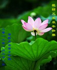 Published on 1/24/2012 ֹ,½󷨵ӹףʦã99 - ִ
