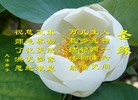 Published on 1/24/2012 ֹ,½󷨵ӹףʦã99 - ִ
