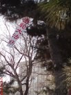 Published on 1/24/2012 ֹ,½󷨵ӹףʦã192 - ִ
