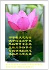 Published on 1/23/2012 ֹ,½󷨵ӹףʦã177 - ִ
