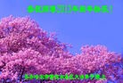 Published on 1/1/2013 ֹ,½󷨵ӹףʦԪ֣110

