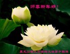 Published on 1/1/2013 ֹ,½󷨵ӹףʦԪ֣110
