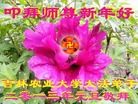 Published on 1/1/2013 ֹ,ϵͳ󷨵ӹףʦ
