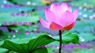 ֹ,󷨵ӹףʦԪ֣164
