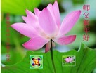 Published on 1/1/2013 ֹ,½󷨵ӹףʦ
