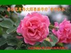 Published on 1/1/2013 ֹ,½󷨵ӹףʦԪ֣105
