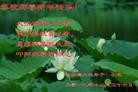 Published on 1/1/2013 ֹ,½󷨵ӹףʦԪ֣105
