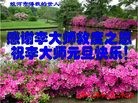 Published on 1/1/2013 ֹ,½󷨵ӹףʦԪ֣104
