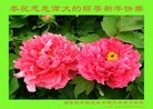 Published on 1/1/2013 ֹ,½󷨵ӹףʦԪ֣104
