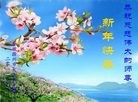 Published on 1/1/2013 ֹ,½󷨵ӹףʦԪ֣104
