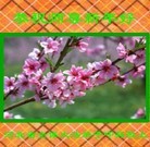 Published on 1/1/2013 ֹ,½󷨵ӹףʦԪ֣106
