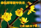 Published on 1/1/2013 ֹ,½󷨵ӹףʦԪ֣106
