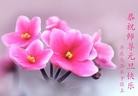 Published on 1/1/2013 ֹ,½󷨵ӹףʦԪ֣106
