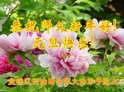 Published on 1/1/2013 ֹ,йҵ󷨵ӹףʦԪ
