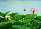 ֹ,󷨵ӹףʦԪ֣164
