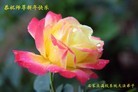 Published on 1/1/2013 ֹ,ϵͳ󷨵ӹףʦ
