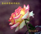 Published on 1/1/2013 ֹ,½󷨵ӹףʦԪ֣106
