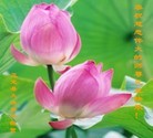 Published on 1/1/2013 ֹ,½󷨵ӹףʦԪ֣158
