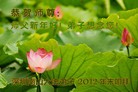 ֹ,ϵ󷨵ӹףʦԪ֣156
