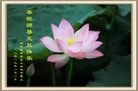 Published on 1/1/2013 ֹ,ϵͳ󷨵ӹףʦ
