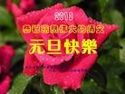 Published on 1/1/2013 ֹ,½󷨵ӹףʦ
