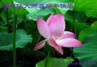 Published on 1/1/2013 ֹ,½󷨵ӹףʦԪ֣158
