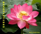 Published on 1/1/2013 ֹ,½󷨵ӹףʦԪ֣143
