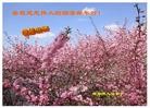 Published on 1/1/2013 ֹ,½󷨵ӹףʦԪ֣143
