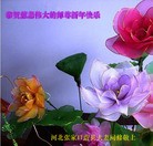 Published on 1/1/2013 ֹ,½󷨵ӹףʦԪ֣160
