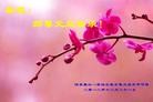 Published on 1/1/2013 ֹ,½󷨵ӹףʦԪ֣160
