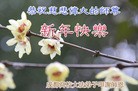 Published on 1/1/2013 ֹ,ϵͳ󷨵ӹףʦ
