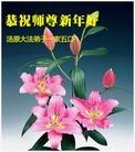 Published on 1/1/2013 ֹ,½󷨵ӹףʦԪ֣160
