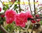 Published on 1/1/2013 ֹ,½󷨵ӹףʦԪ֣160
