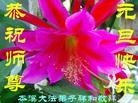 Published on 1/1/2013 ֹ,½󷨵ӹףʦԪ֣99
