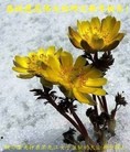 Published on 1/1/2013 ֹ,ǷѺĴ󷨵ӹףʦ
