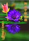 Published on 9/30/2012 ֹ,½󷨵ӹףʦ
