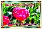 Published on 9/30/2012 ֹ,ʺʦ
