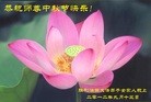 Published on 9/30/2012 ֹ,й½ҵ󷨵ӹףʦ
