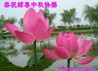 Published on 9/30/2012 ֹ,½󷨵ӹףʦ֣92
