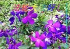 Published on 9/30/2012 ֹ,½󷨵ӹףʦ֣92
