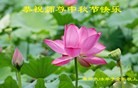 Published on 9/30/2012 ֹ,½󷨵ӹףʦ֣103
