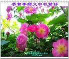 Published on 9/30/2012 ֹ,½󷨵ӹףʦ
