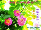 Published on 9/30/2012 ֹ,½󷨵ӹףʦ
