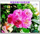 Published on 9/30/2012 ֹ,½󷨵ӹףʦ֣103

