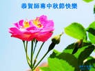 Published on 9/30/2012 ֹ,½󷨵ӹףʦ֣103

